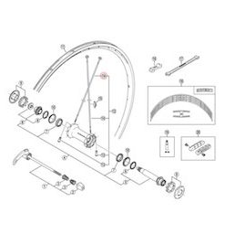 Shimano (WH7801) Front Right/Left Spoke w/ Washer