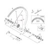 Shimano (WH7801) Rear Right Spoke w/ Washer
