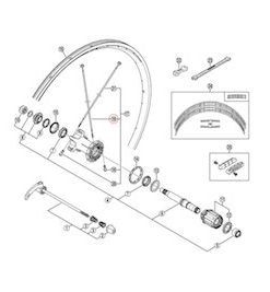 Shimano (WH7801) Rear Right Spoke w/ Washer