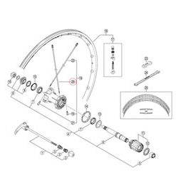 Shimano (WH7801SL) Rear Right Spoke w/Plug