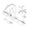 Shimano (WH7801C) Rear Left Spoke w/ Washer