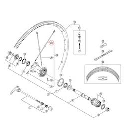 Shimano (WH7801SL) Rear Left Spoke w/Plug
